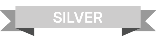 Silver Partner Banner